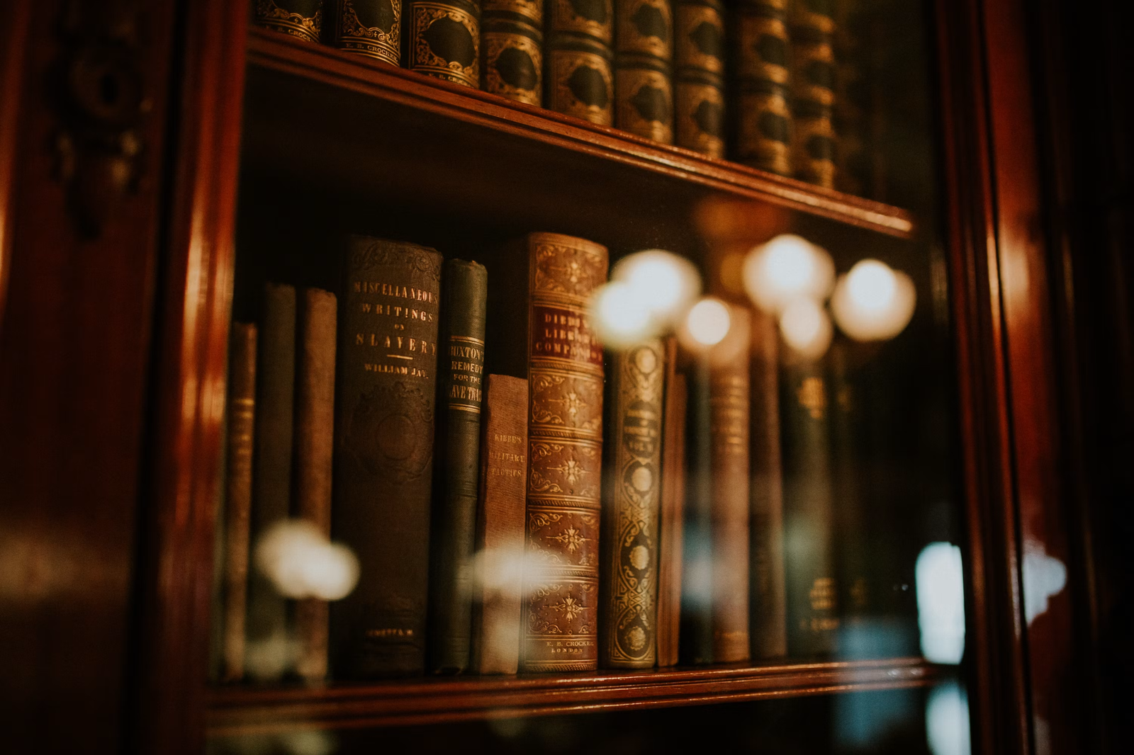 Law books in a professional library